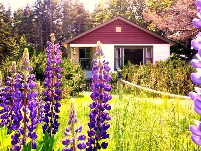 Goodview Cottages By Stanhope Beach Pei For Adults Only Bagian luar foto