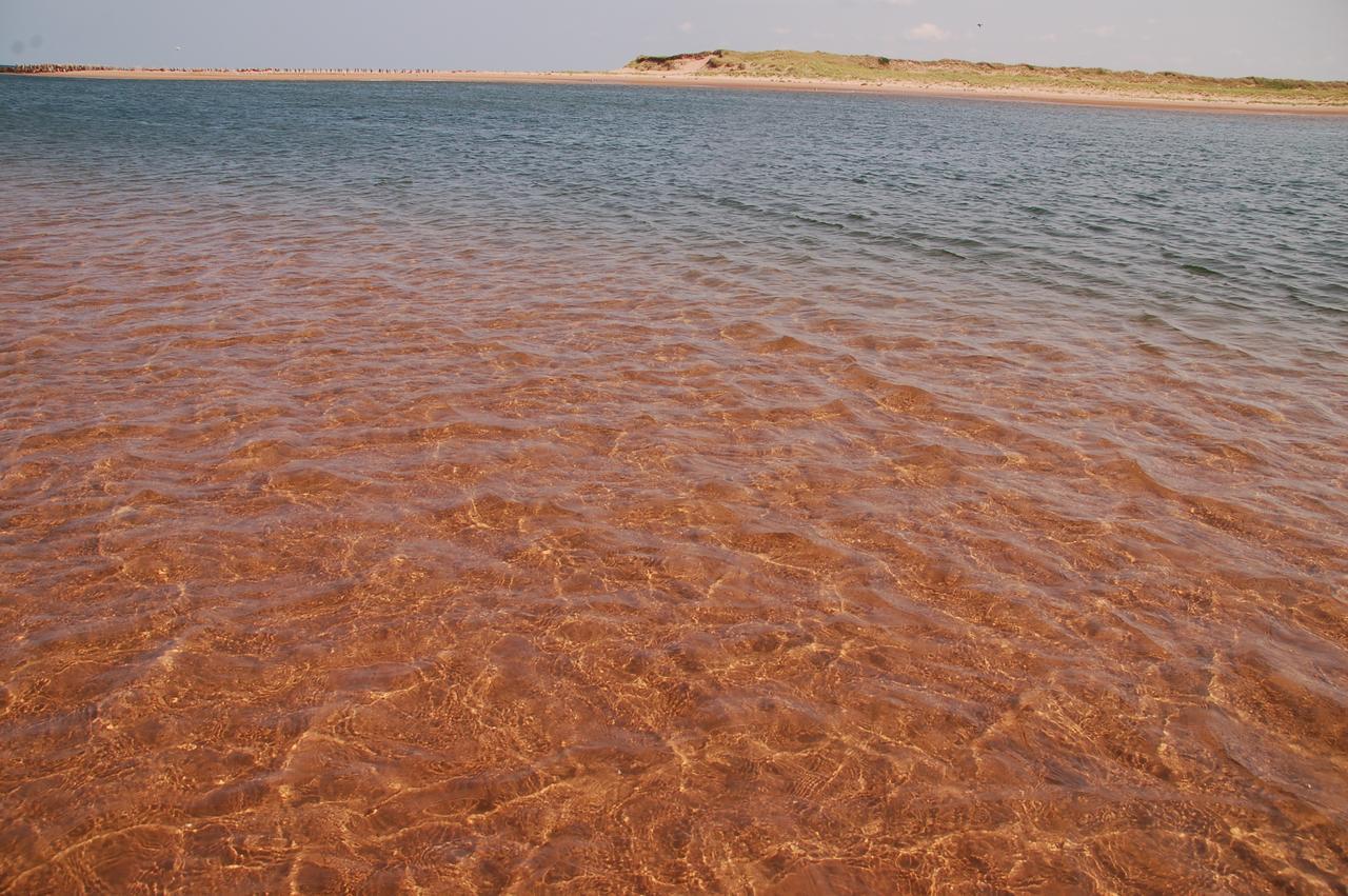 Goodview Cottages By Stanhope Beach Pei For Adults Only Bagian luar foto