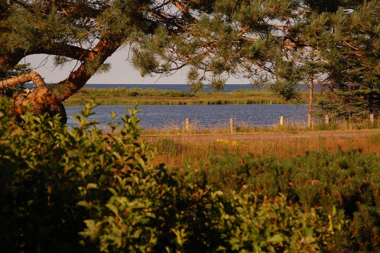 Goodview Cottages By Stanhope Beach Pei For Adults Only Bagian luar foto